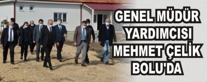 BOLU\'DA �NCELEMELERDE BULUNDU