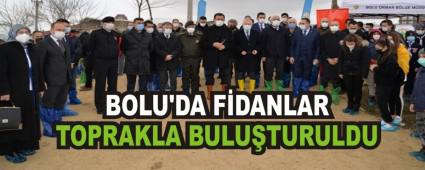 BOLU\'DA F�DANLAR TOPRAKLA BULU�TURULDU