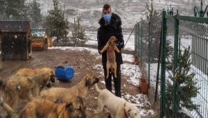 BARINA�I VE CAN DOSTLARI SAH�PLEN�YORLAR