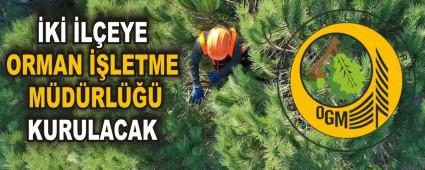 �K� �L�EYE ORMAN ��LETME M�D�RL��� KURULACAK