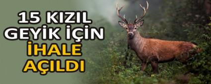 15 KIZIL GEY�K ���N �HALE A�ILDI