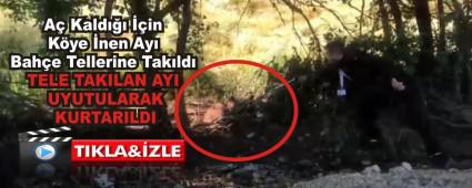 A� Kald��� ��in K�ye �nen Ay� Bah�e Tellerine Tak�ld�