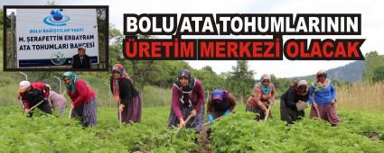 BOLU ATA TOHUMLARININ �RET�M MERKEZ� OLACAK