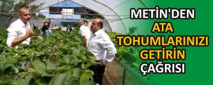 MET�N\'DEN ATA TOHUMLARINIZI GET�R�N �A�RISI
