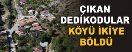 �IKAN DED�KODULAR K�Y� �K�YE B�LD�