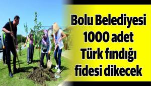 �BU FINDI�IN NESL� R�SK ALTINDA�