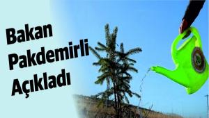 BOLU\'DA BU YILSONUNA KADAR 942 B�N F�DAN D�K�LECEK