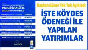 Ba�kan G�ner Tek Tek A��klad�