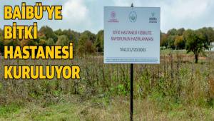 BA�B�\'YE B�TK� HASTANES� KURULUYOR