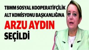 TBMM SOSYAL KOOPERAT�F��L�K ALT KOM�SYONU BA�KANLI�INA ARZU AYDIN SE��LD�