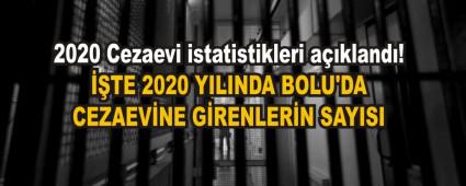 ��TE 2020 YILINDA BOLU\'DA CEZAEV�NE G�RENLER�N SAYISI