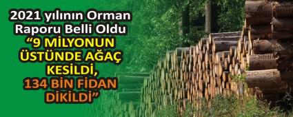 2021 y�l�n�n Orman Raporu Belli Oldu