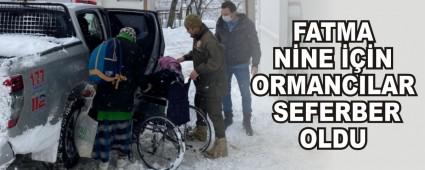 FATMA N�NE ���N ORMANCILAR SEFERBER OLDU