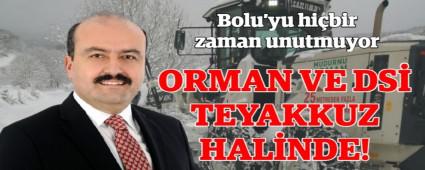 ORMAN VE DS� TEYAKKUZ HAL�NDE!