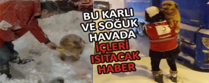 BU KARLI VE SO�UK HAVADA ��LER� ISITACAK HABER