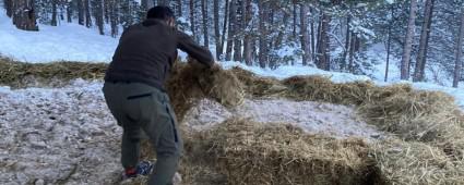 B�R�OK YERE Y�ZLERCE K�LO YEM BIRAKILDI
