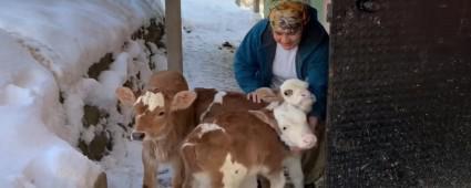 5 DO�UMDA 9 BUZA�I BEREKET�