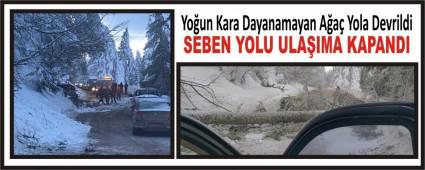 Yo�un Kara Dayanamayan A�a� Yola Devrildi