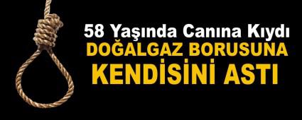 58 Ya��nda Can�na K�yd�