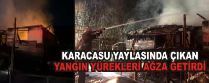 KARACASU YAYLASINDA �IKAN YANGIN Y�REKLER� A�ZA GET�RD�