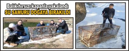 Bal�k h�rs�z� kapanla yakaland�
