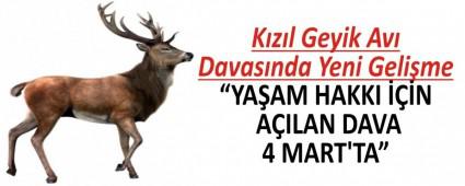 K�z�l Geyik Av� Davas�nda Yeni Geli�me