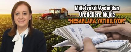 Milletvekili Ayd�n\'dan �reticilere M�jde