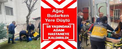 A�a� Budarken Yere D��t�