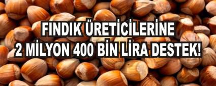 FINDIK �RET�C�LER�NE 2 M�LYON 400 B�N L�RA DESTEK!