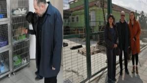 HAYVAN HASTANES�N� Z�YARET ETT�LER