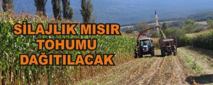 S�LAJLIK MISIR TOHUMU DA�ITILACAK