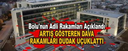 ARTI� G�STEREN DAVA RAKAMLARI DUDAK U�UKLATTI