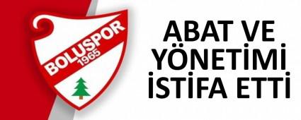 ABAT VE Y�NET�M� �ST�FA ETT�