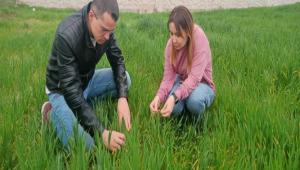 BAHAR YA�I�LARINDA SEPTORYA\'YA D�KKAT