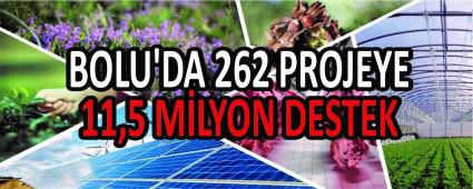 BOLU\'DA 262 PROJEYE 11,5 M�LYON DESTEK