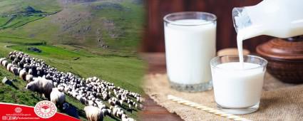 BOLU �RET�YOR, DESTEKLER DEVAM ED�YOR