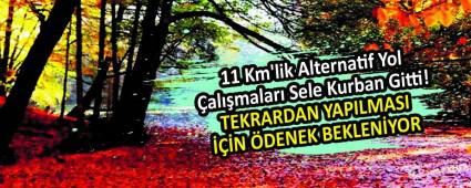 11 Km\'lik Alternatif Yol �al��malar� Sele Kurban Gitti!