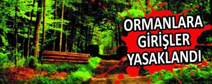 ORMANLARA G�R��LER YASAKLANDI