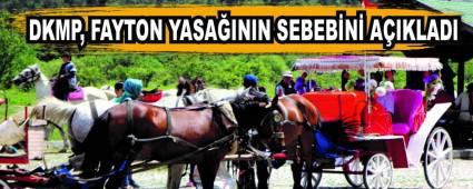 DKMP, FAYTON YASA�ININ SEBEB�N� A�IKLADI