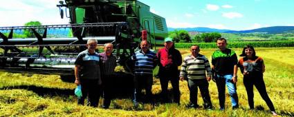 BOLU OVASINDA HASAT VAKT�