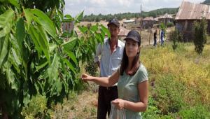 �ARKA V�R�S� VE D��ER ZARARLILAR ���N SURVEY �ALI�MALARI DEVAM ED�YOR