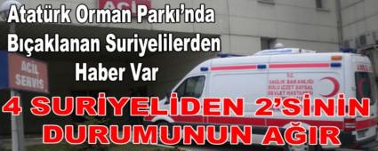 Atat�rk Orman Park�\'nda B��aklanan Suriyelilerden Haber Var