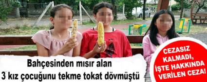 Bah�esinden m�s�r alan 3 k�z �ocu�unu tekme tokat d�vm��t�