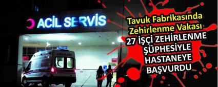 Tavuk Fabrikas�nda Zehirlenme Vakas�