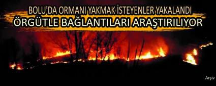 BOLU\'DA ORMANI YAKMAK �STEYENLER YAKALANDI