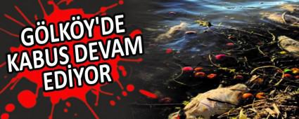 G�LK�Y\'DE KABUS DEVAM ED�YOR