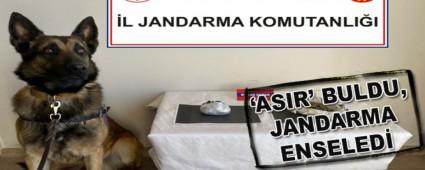�ASIR\' BULDU, JANDARMA ENSELED�