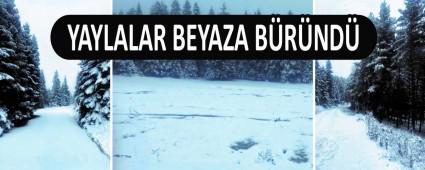 YAYLALAR BEYAZA B�R�ND�
