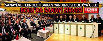 BOLU\'DA SANAY� Z�RVES�