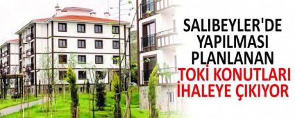 SALIBEYLER\'DE YAPILMASI PLANLANAN TOK� KONUTLARI �HALEYE �IKIYOR